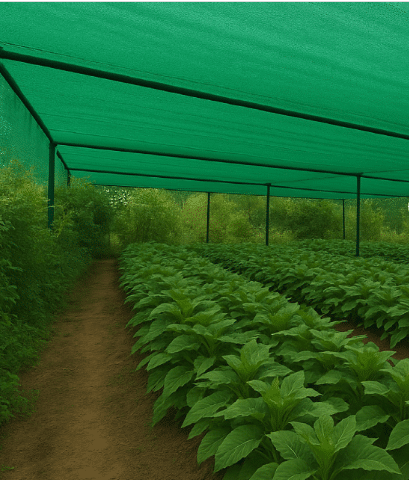 Sacos de Polipropileno